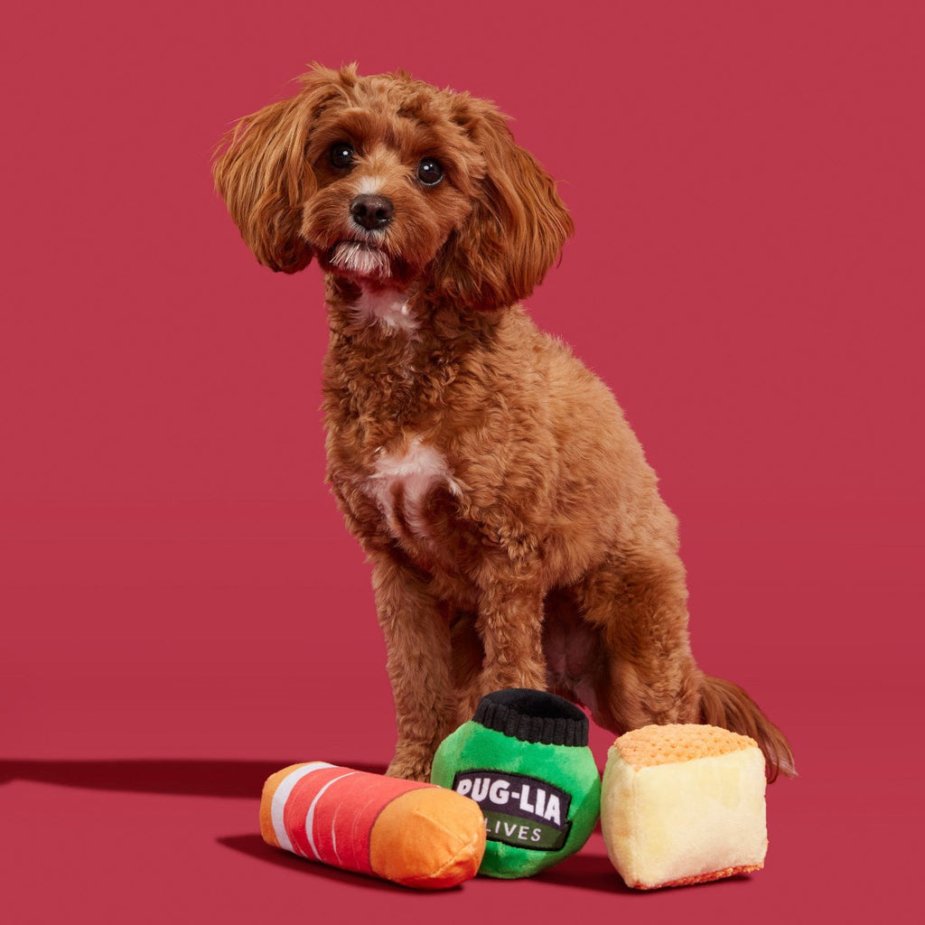 Primo Pawsto Plush Multi-Part Dog Toy