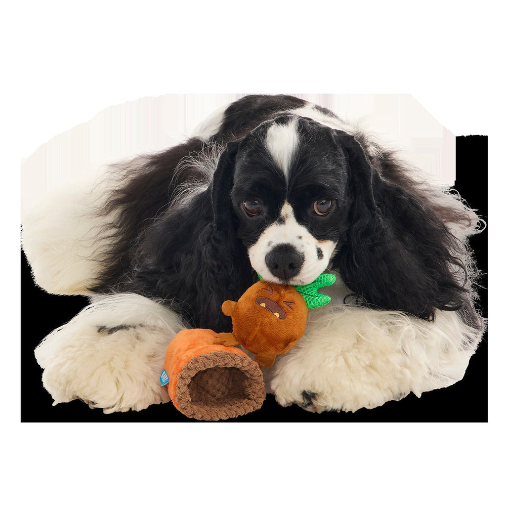 MandrakeTM Plush Tug + Multi-Part Dog Toy