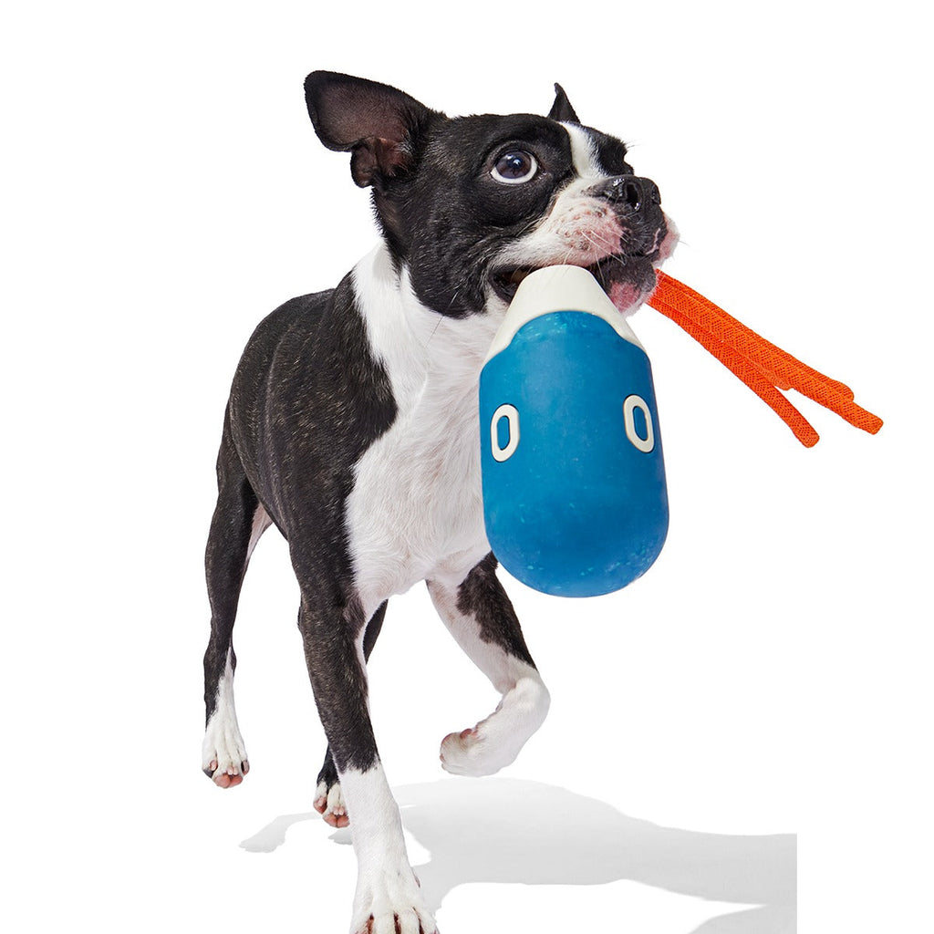 Squidwhip Super Chewer Durable Tug Dog Toy