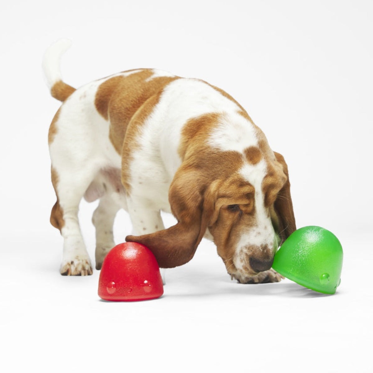Goody Goody Gumdrops Durable Super Chewer Multi-Part Dog Toy