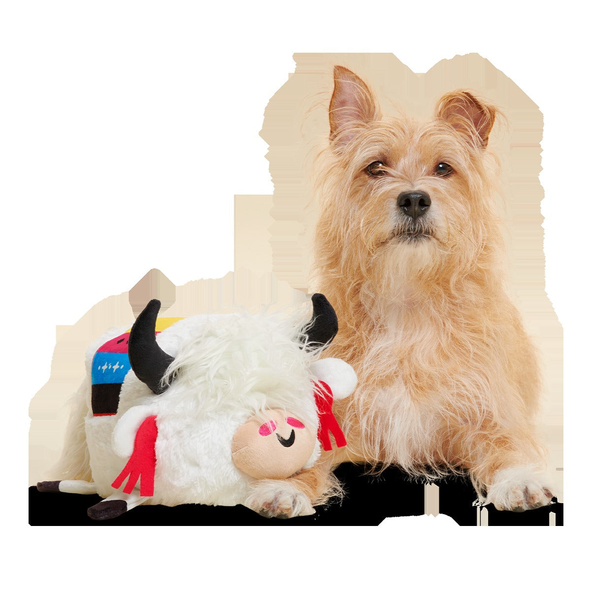 Yeshe the Yak Plush Extra-Large + Tug Dog Toy