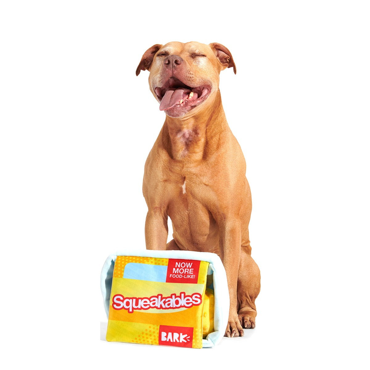 Squeakables Plush Multi-Part + Enrichment Dog Toy