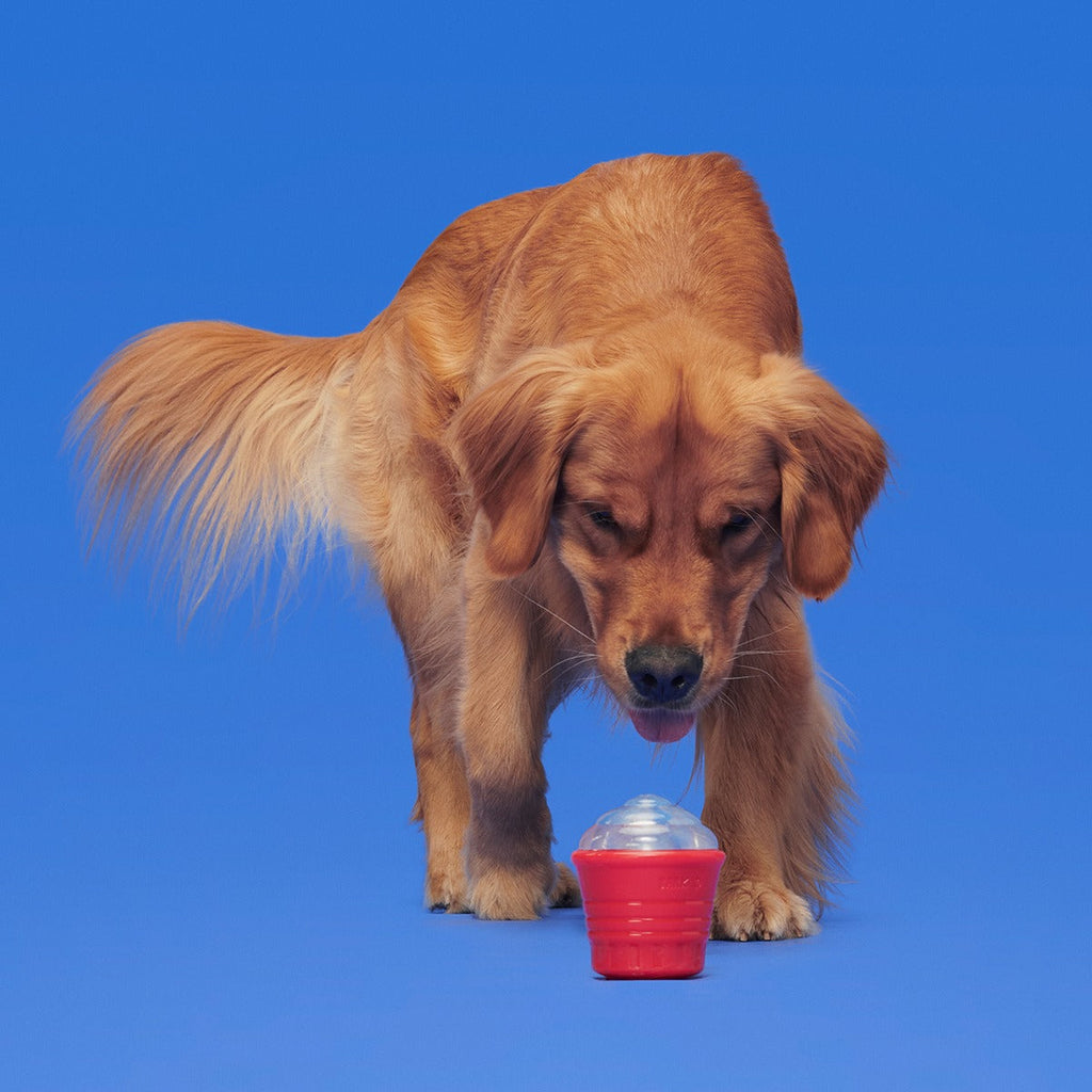 Blue Ruffberry Puppy Slushie Super Chewer Durable Engagement Dog Toy