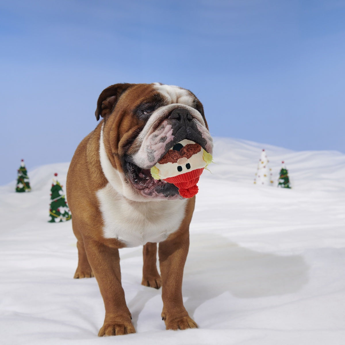 Rudolph® Holiday Super Chewer Gift Box