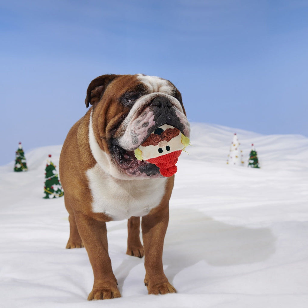 Rudolph® Holiday Super Chewer Gift Box