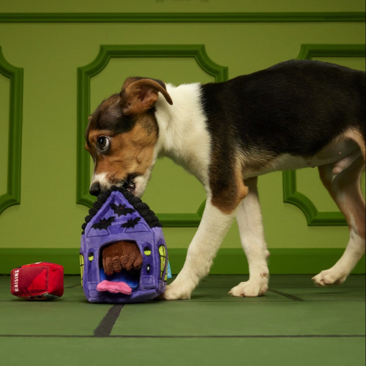 Squeak Street Trick-or-Treat Plush Multi-Part Dog Toy