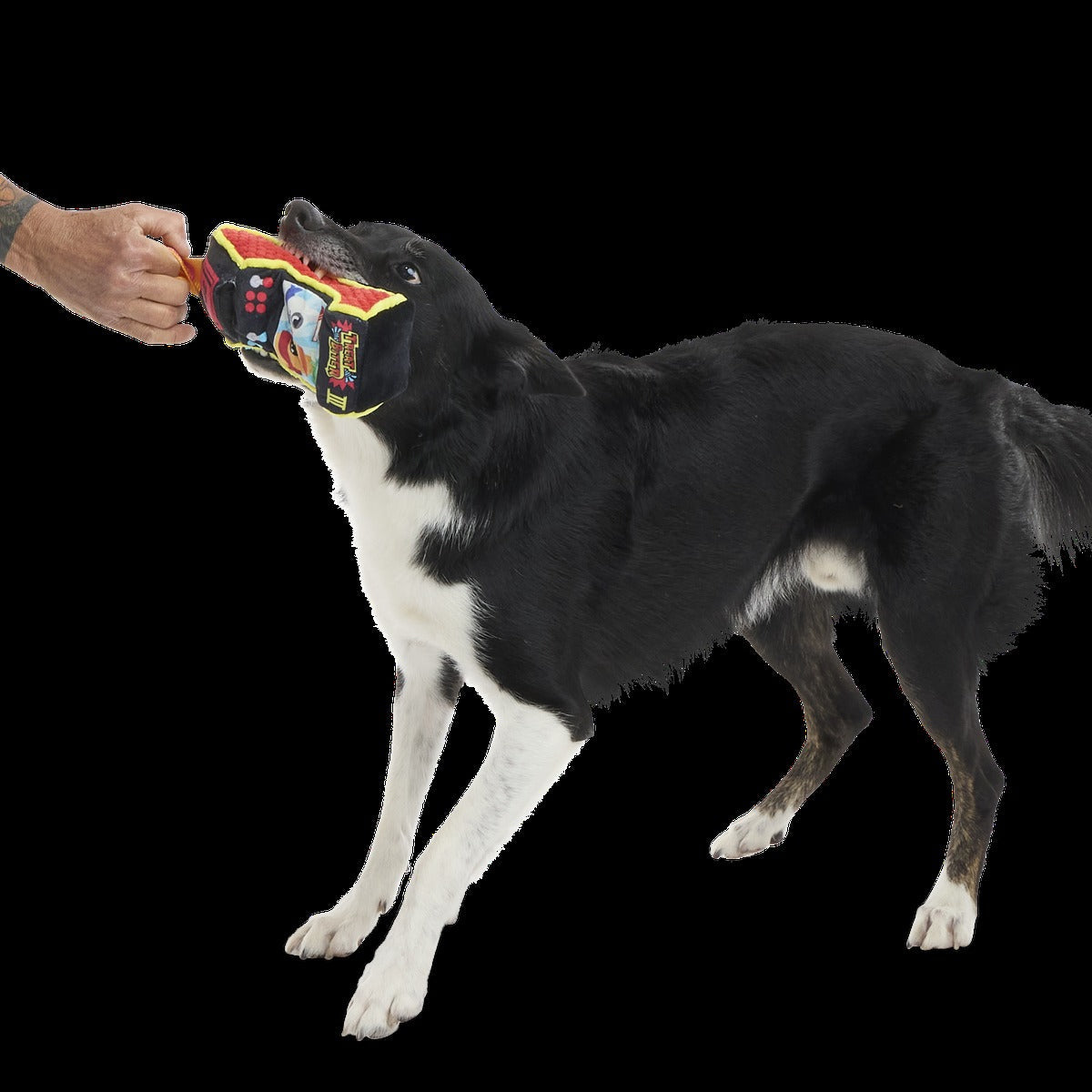 Treat Biter III Plush Enrichment + Tug Dog Toy