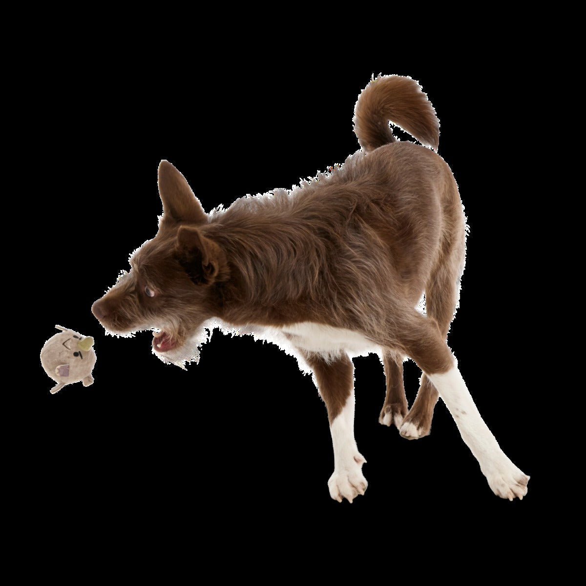 Ryan Ocerus Super Chewer Durable 2-in-1 + Fetch Dog Toy