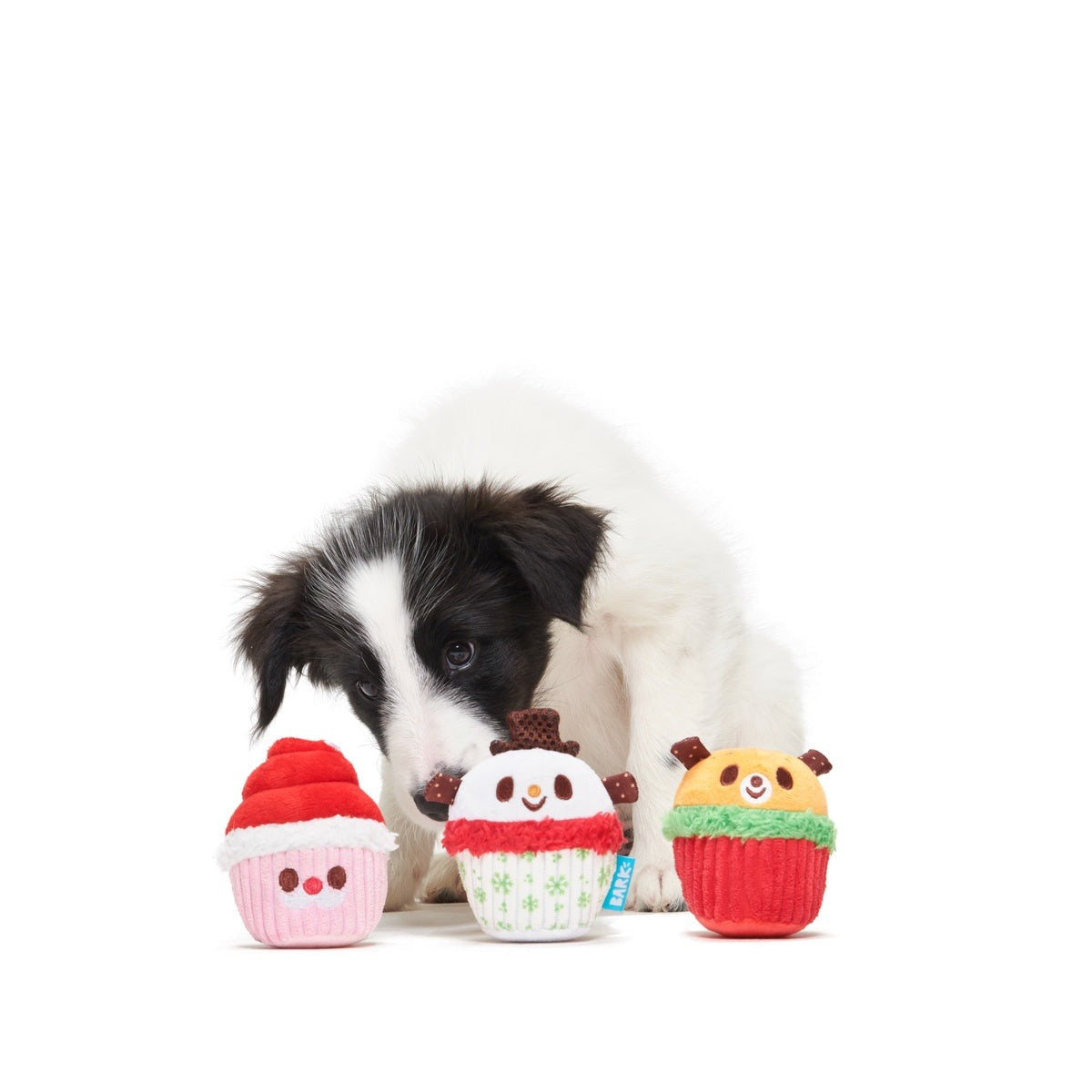 Merry Cupcakes Plush Multi-Part Dog Toy