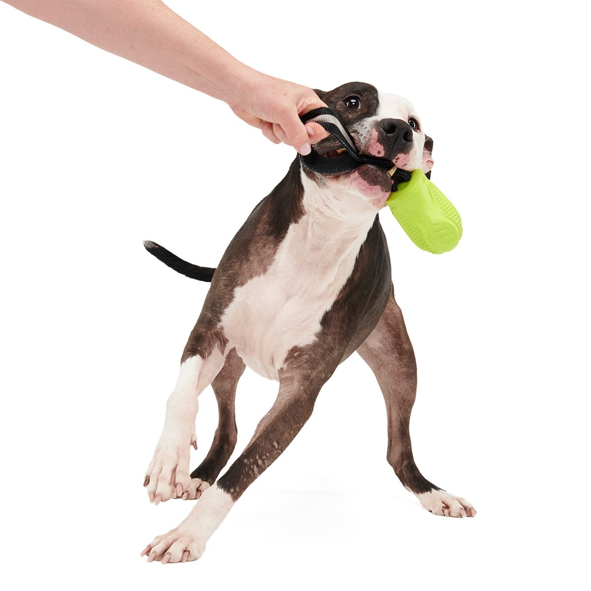 Snout Guard Super Chewer Durable Tug Dog Toy