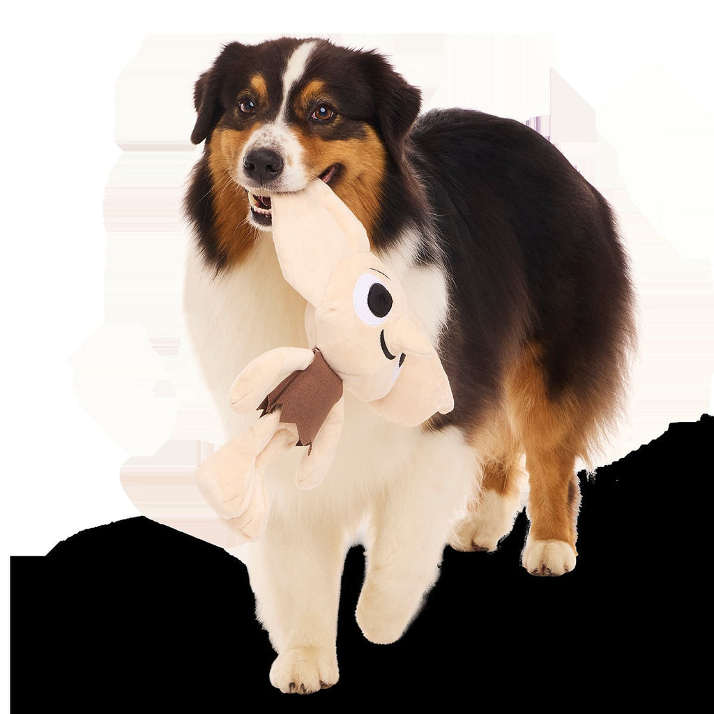 DobbyTM Plush 2-in-1 + Tug Dog Toy