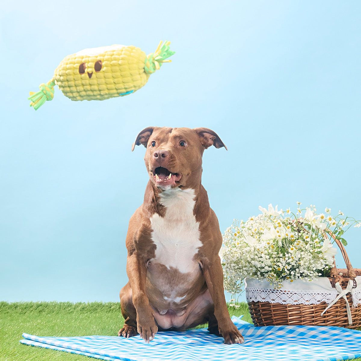 Corn on the Tug Plush Dog Toy