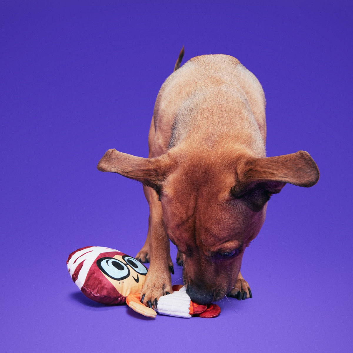 Mummy VelmaTM Plush Tug Dog Toy