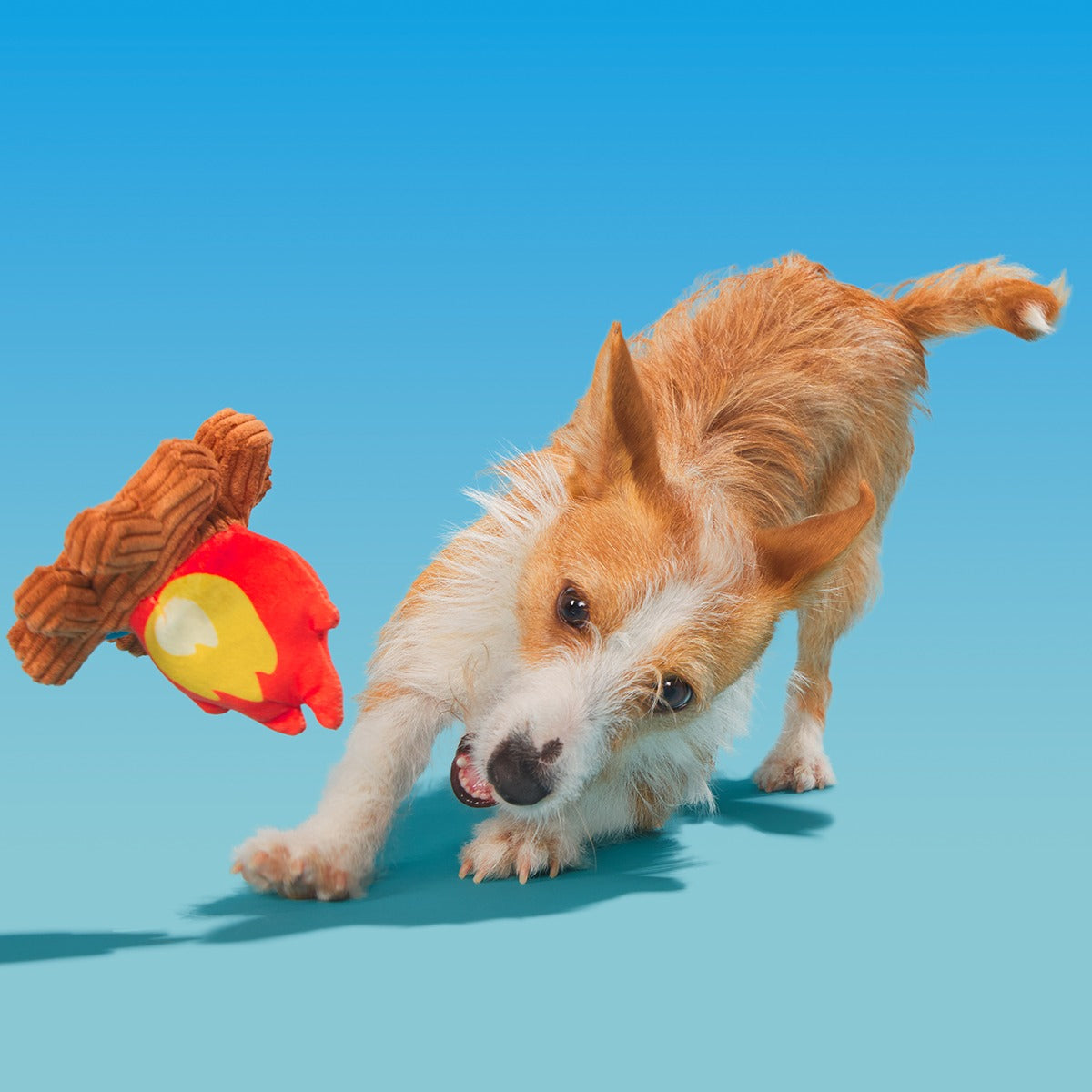 A'Hound the Campfire Plush Tug Dog Toy