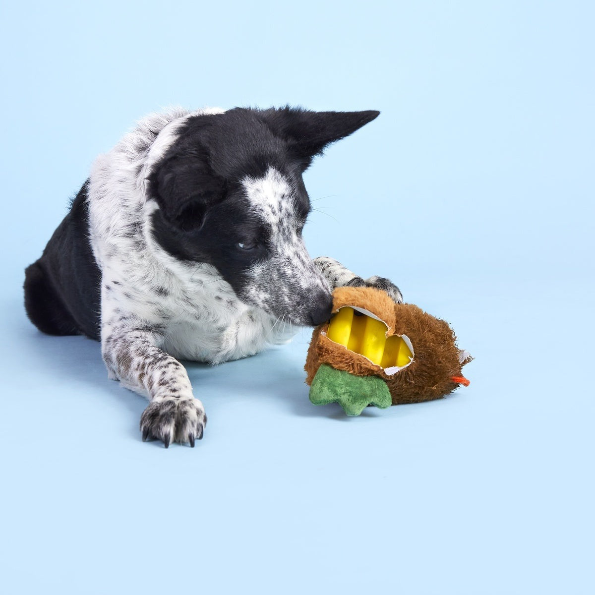 Fowl Play Super Chewer Durable 2-in-1 + Enrichment Dog Toy