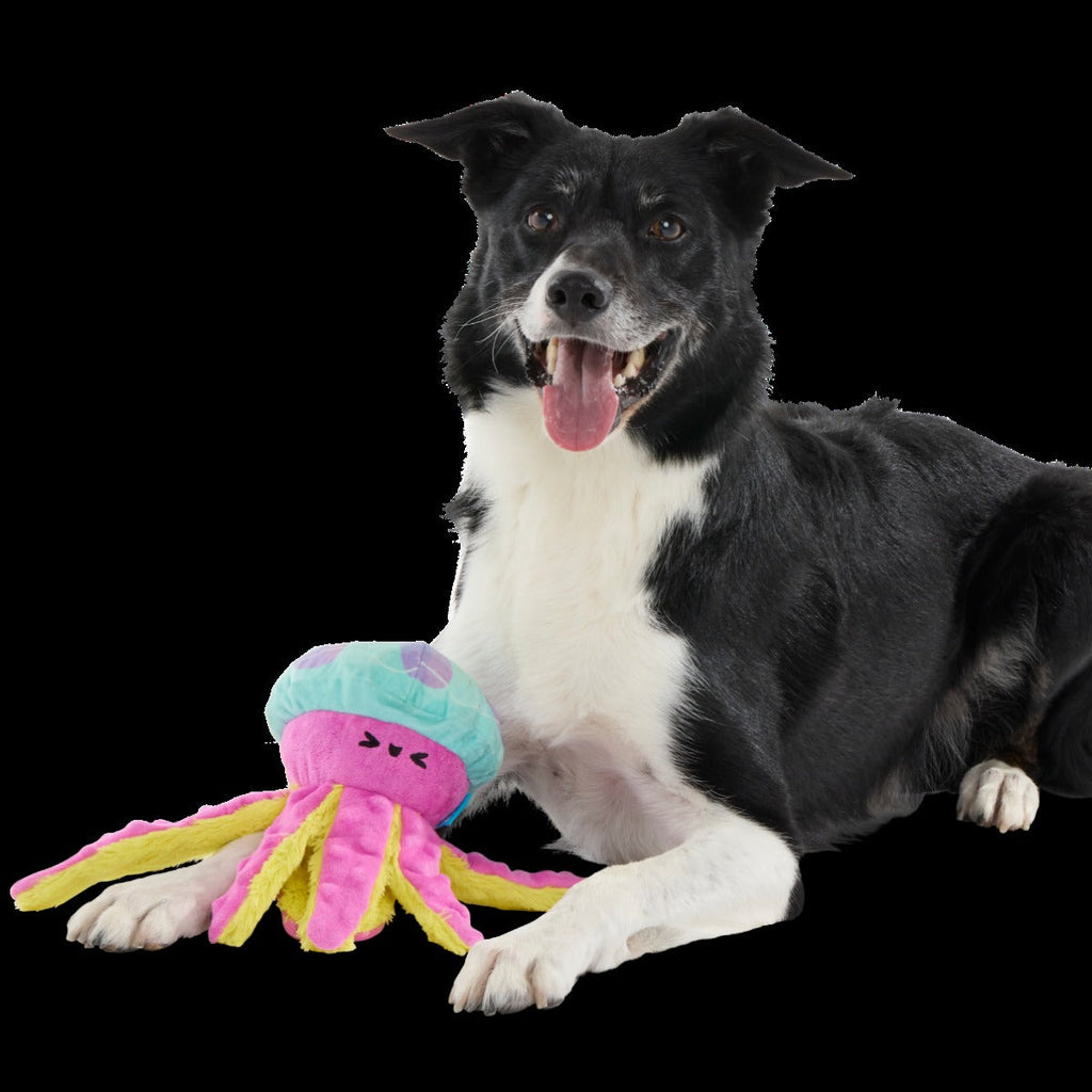 Jellysquish Plush Tug Dog Toy