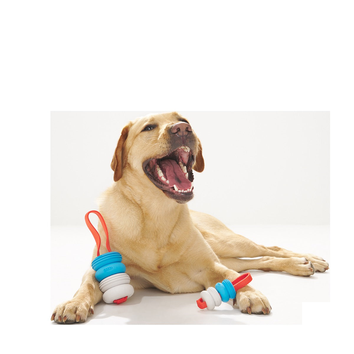 Swimming Pull Super Chewer Durable Tug Dog Toy