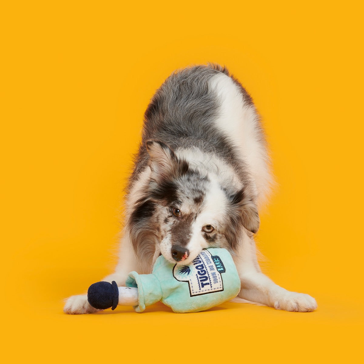 Tug-o-Worm Tugquila Plush Tug Dog Toy