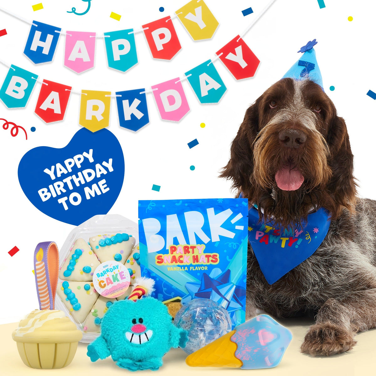 Birthday Super Chewer Gift Box