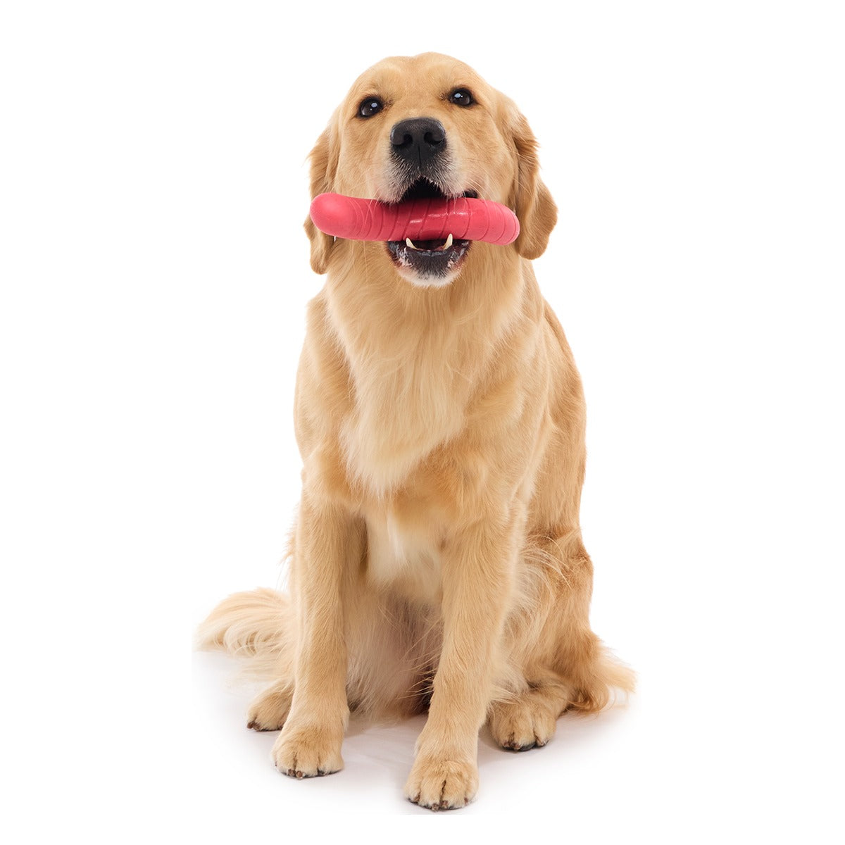 Turf Worm Super Chewer Durable Gnaw Dog Toy