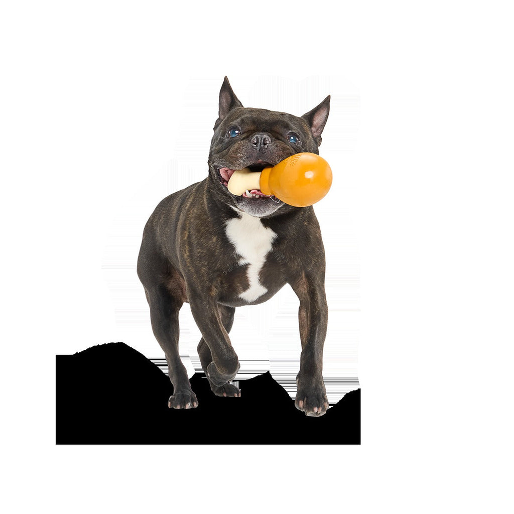Turkey Day Drumstick Super Chewer Durable Gnaw Dog Toy