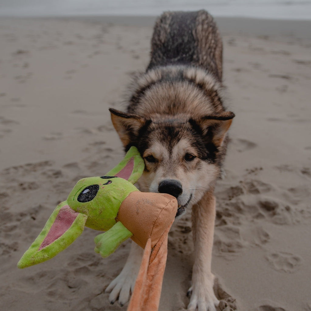 Ride along GroguTM Plush Wearable Tug Dog Toy