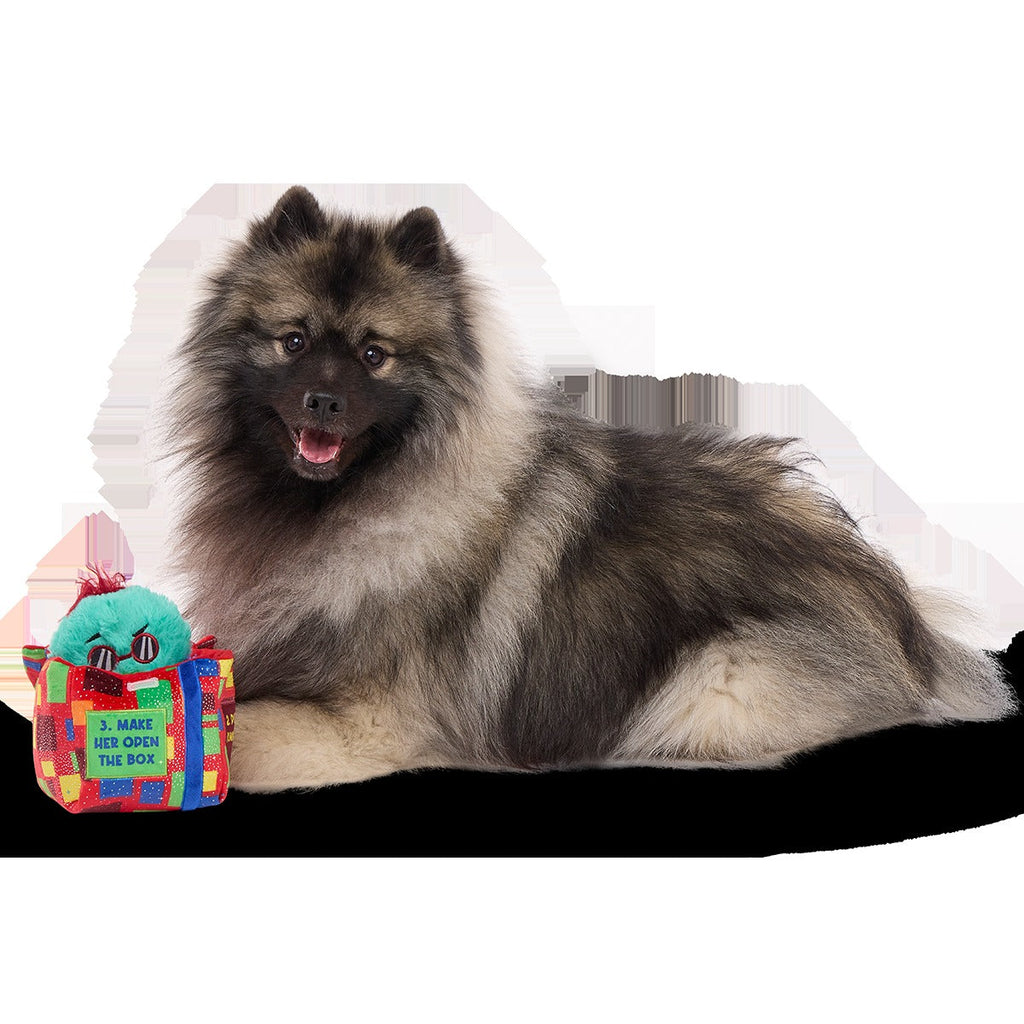 Saturday Night Live: Duck in A Box Plush Multi-Part + Enrichment Dog Toy