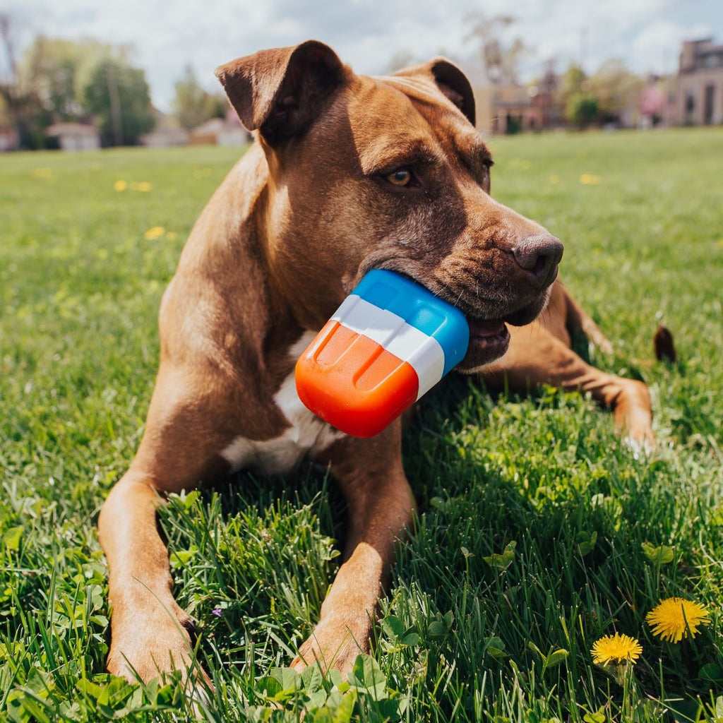Red White + Chew Ice Pop Super Chewer Durable Gnaw Dog Toy