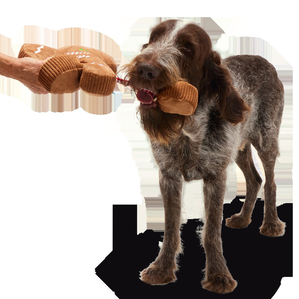 The Crumbum King Plush Extra-Large + Tug Dog Toy