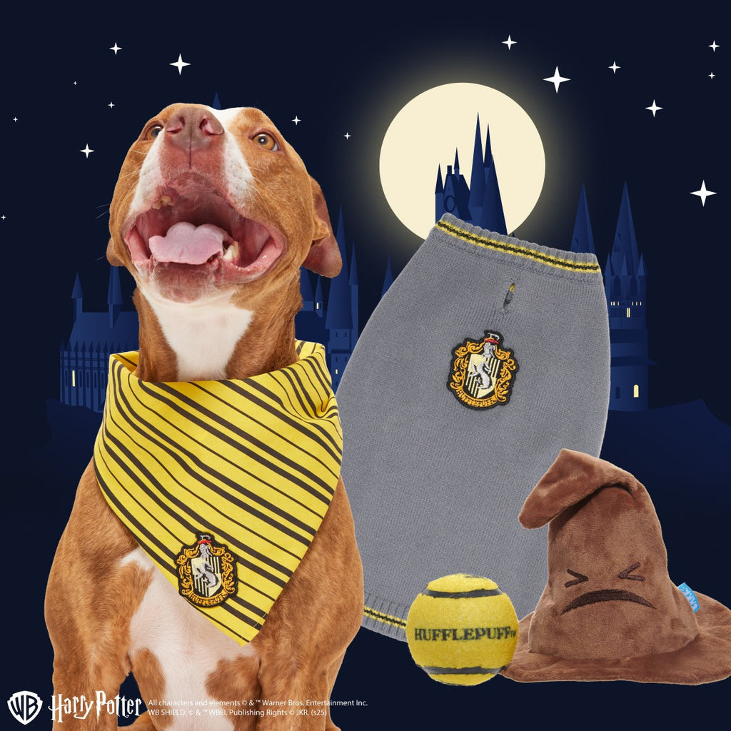 HufflepuffTM Bundle