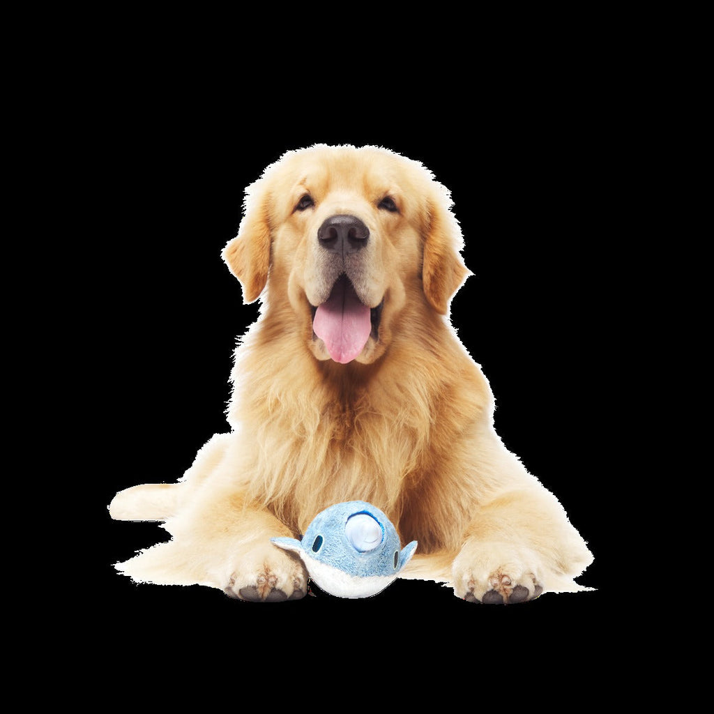 Gnaw Whal Durable Super Chewer 2-in-1 Rip and Reveal Dog Toy