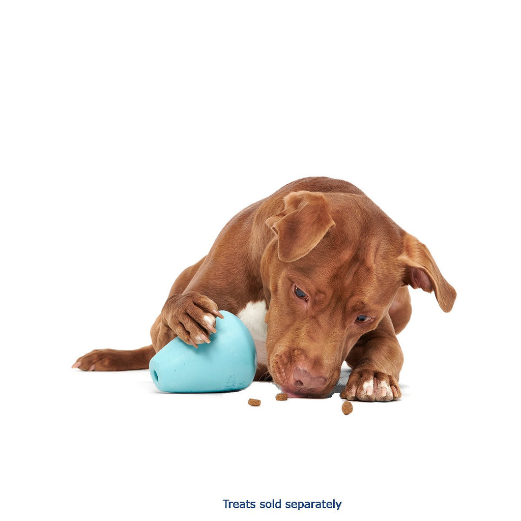 Titan Super Chewer Durable Enrichment Dog Toy