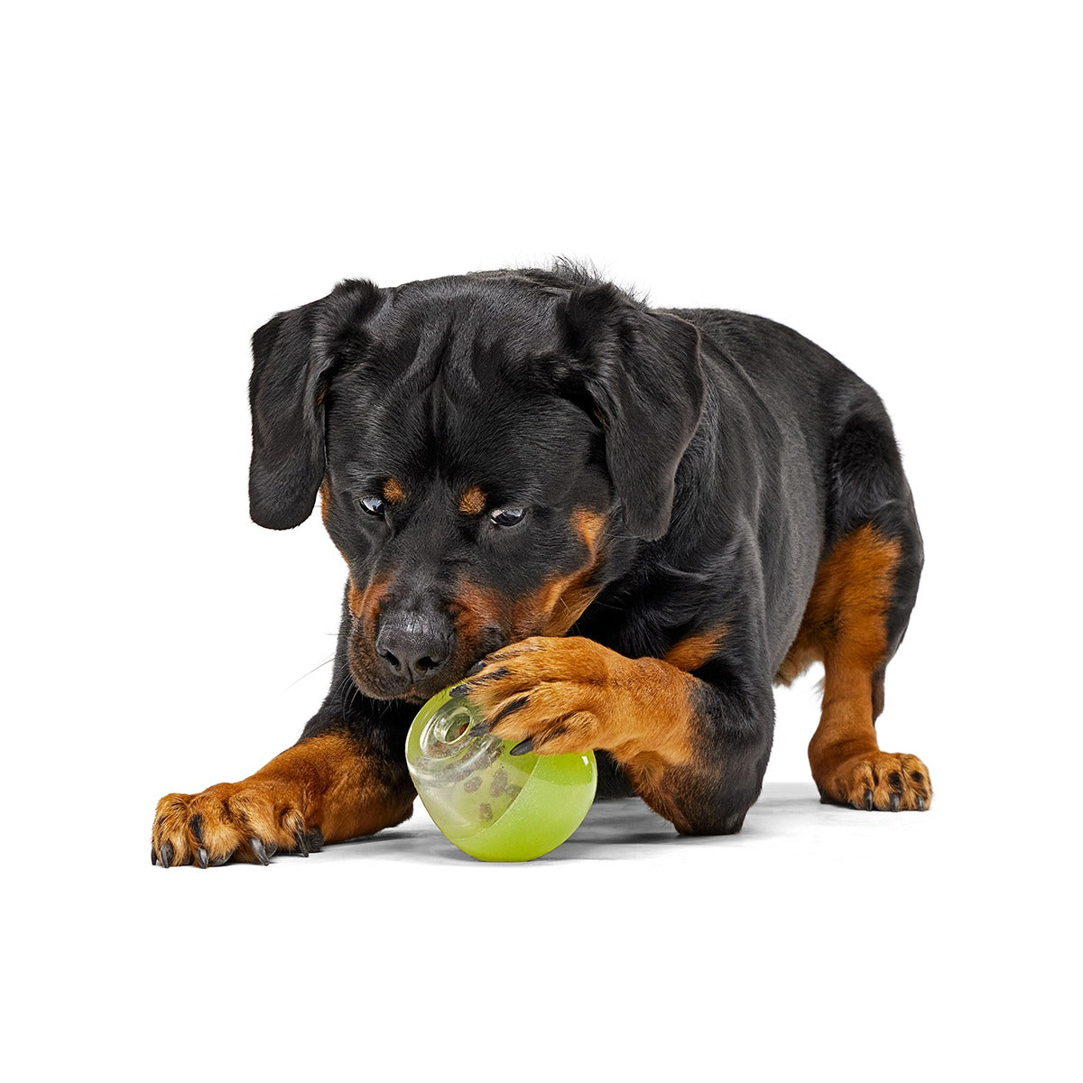Tipsy Margarita Super Chewer Durable Enrichment Dog Toy
