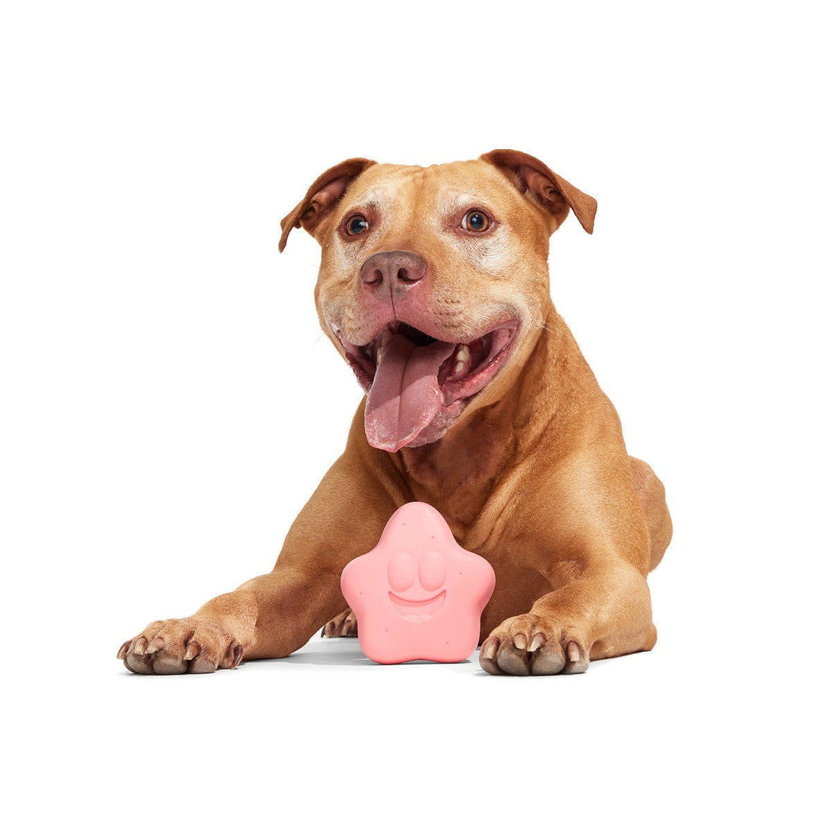 Goofy Goober Patrick Super Chewer Durable Fetch Dog Toy