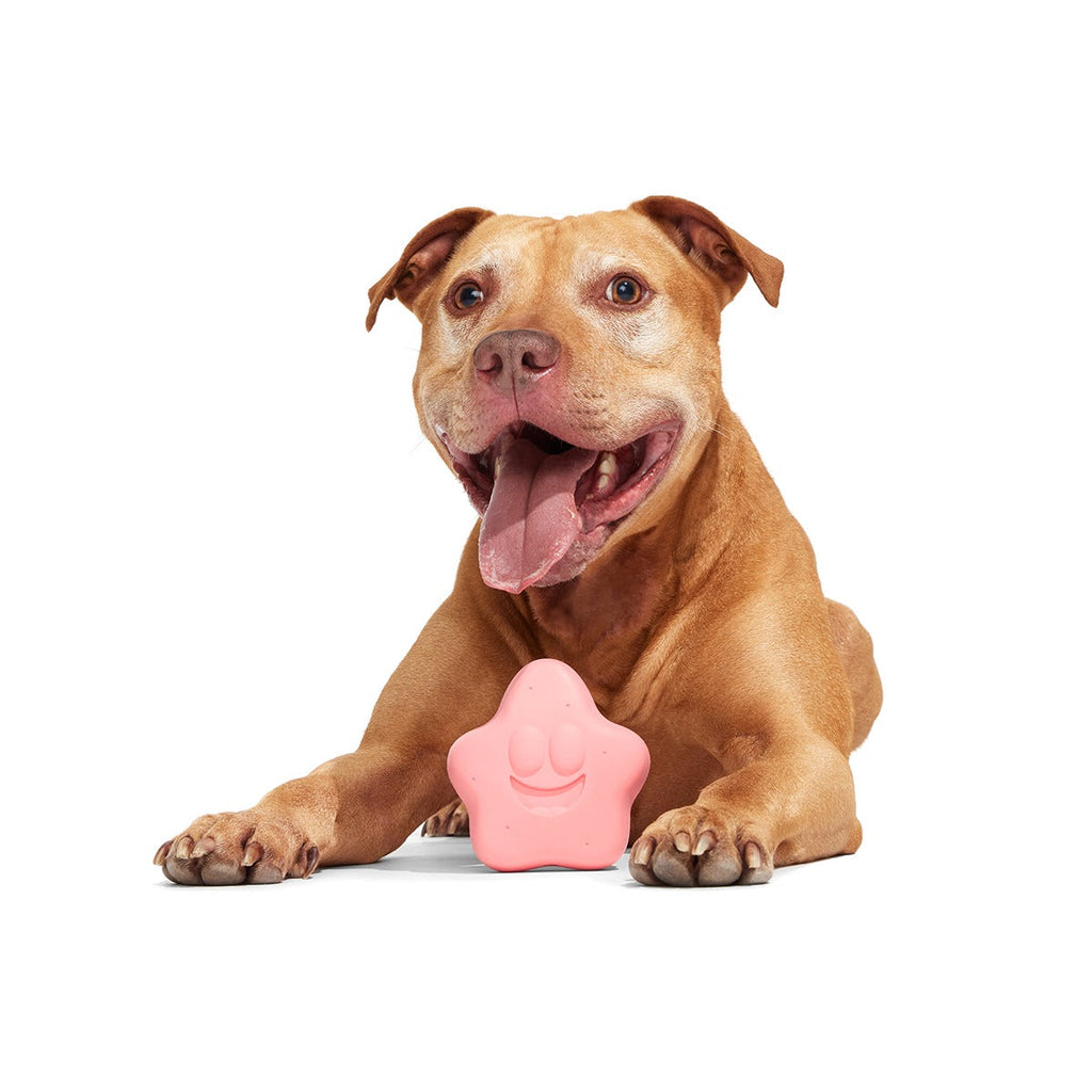 Goofy Goober Patrick Super Chewer Durable Fetch Dog Toy
