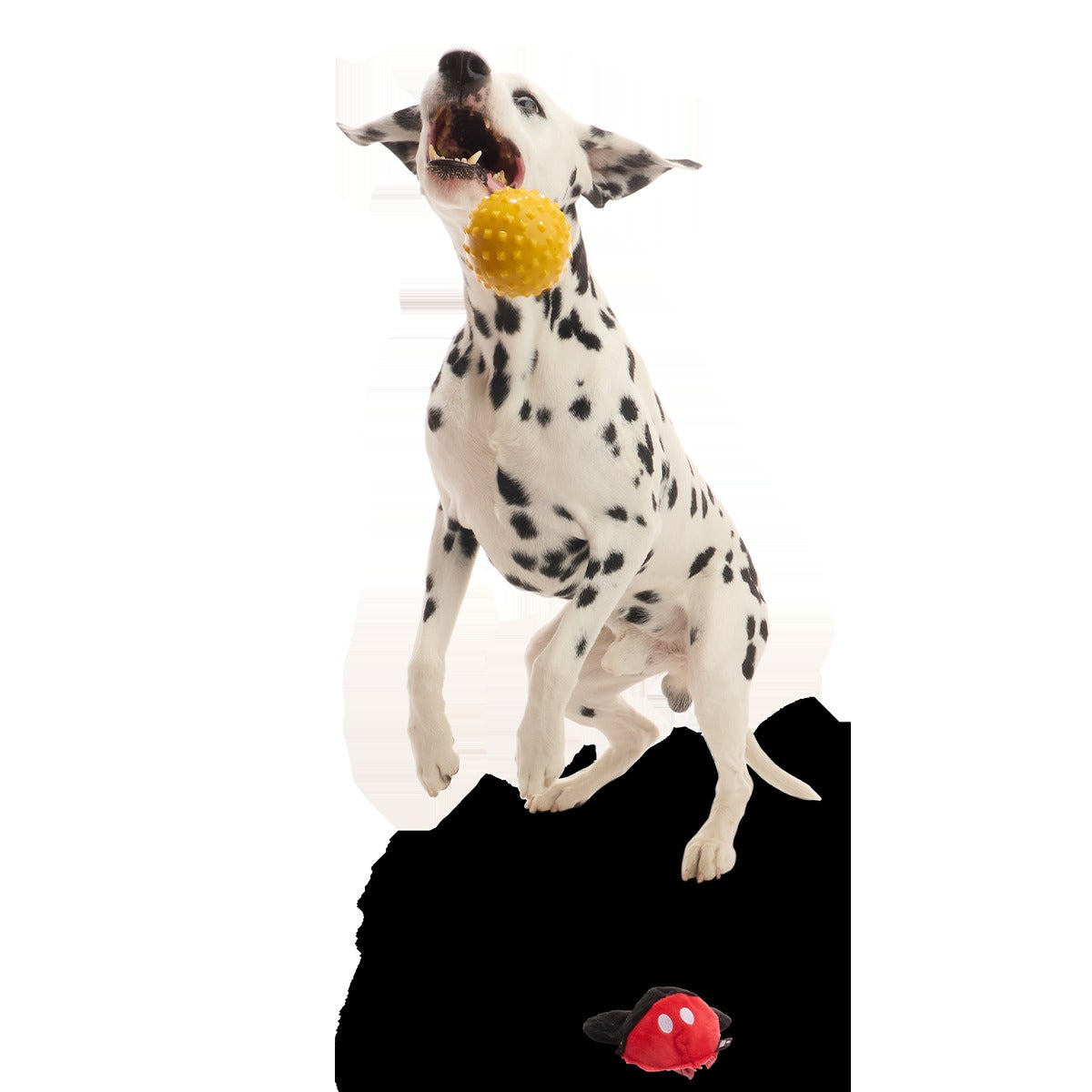 Mickey Mouse Ball Super Chewer Durable 2-in-1 + Fetch Dog Toy