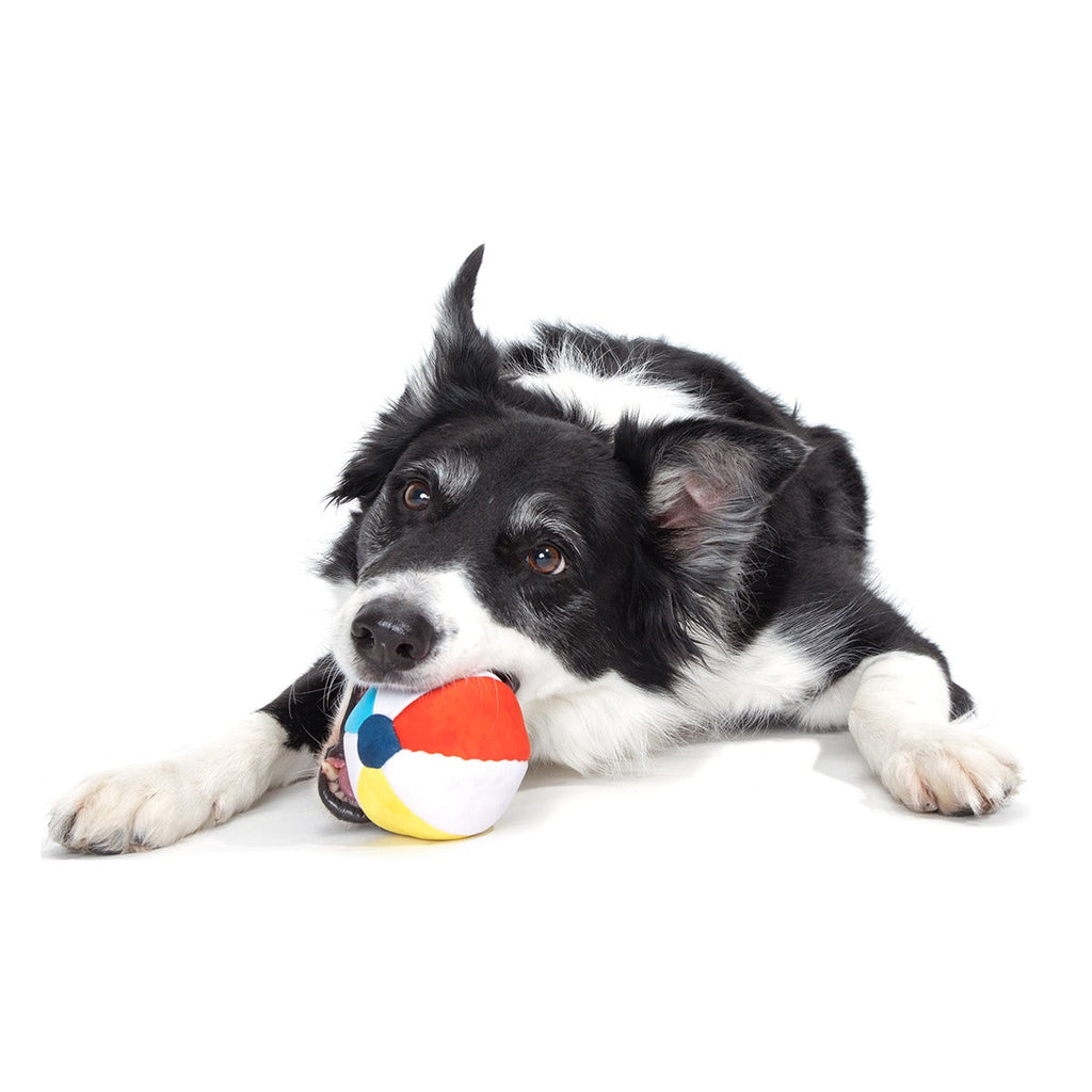 Spike The Beach Ball Super Chewer Durable 2-in-1 + Fetch Dog Toy