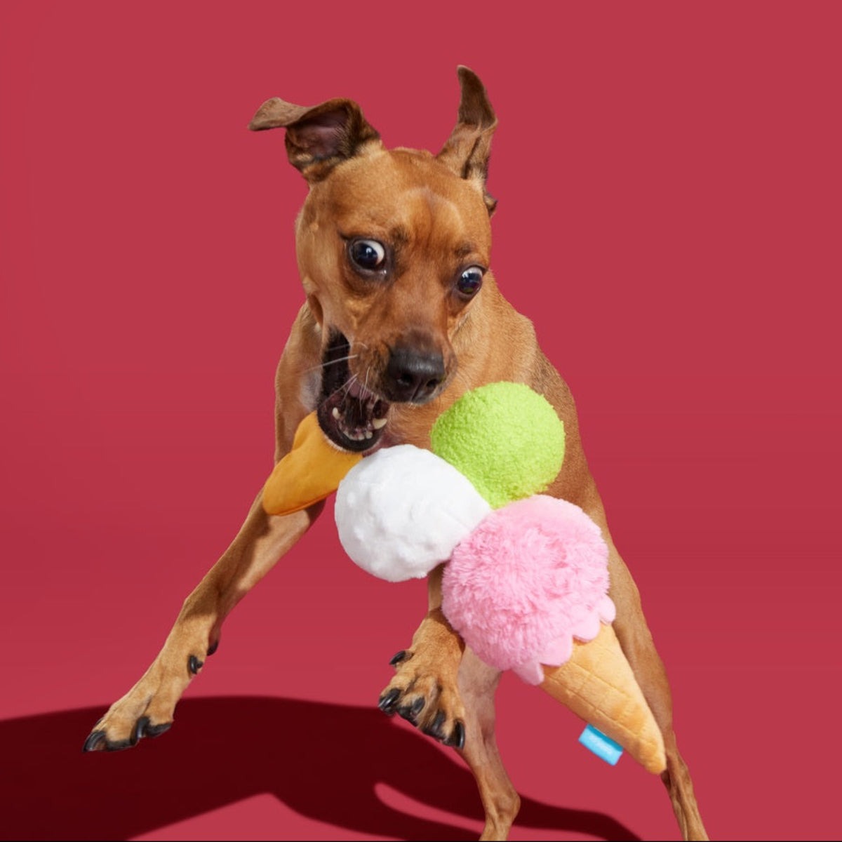 D'oggo Gelato Plush Tug Dog Toy