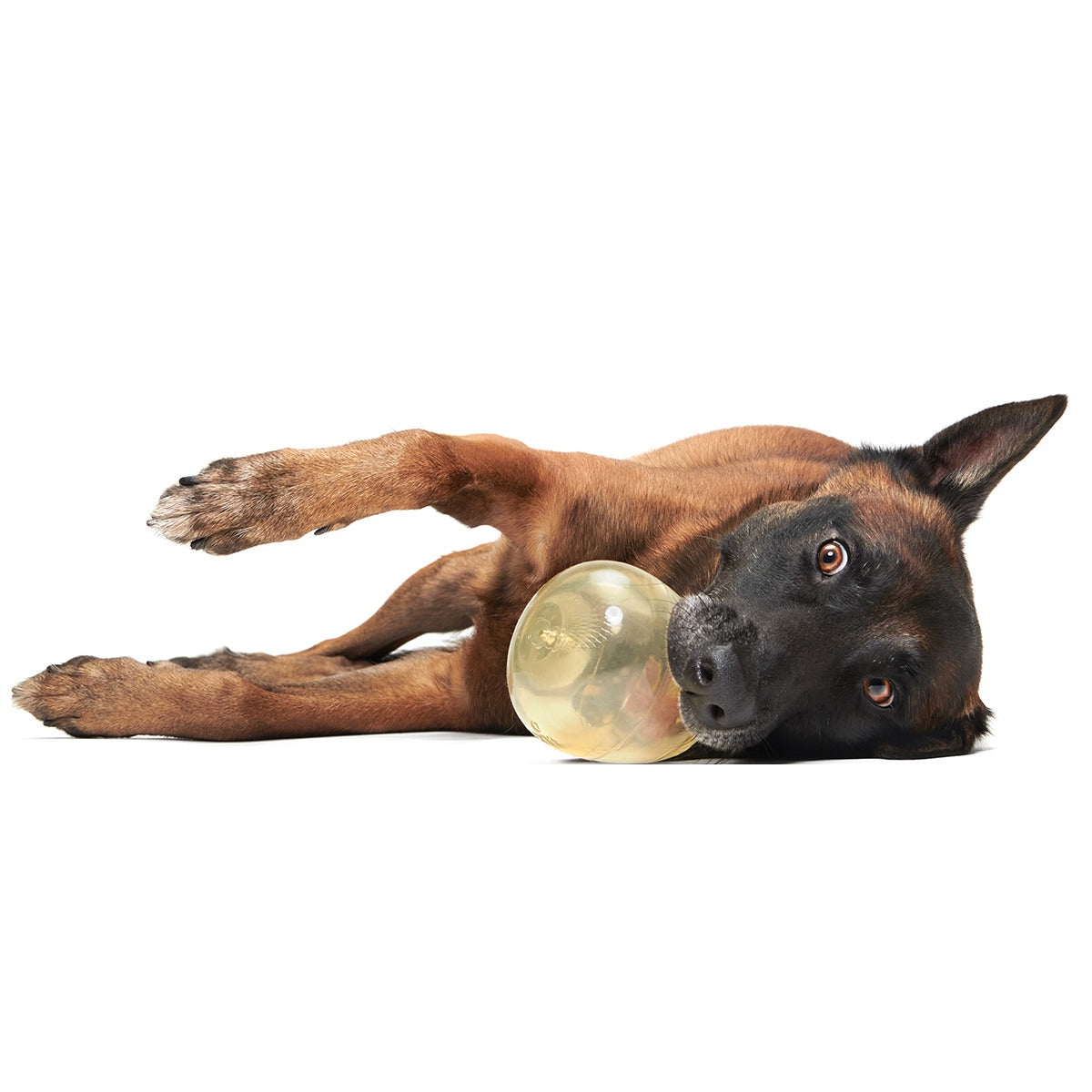 Tipsy Toast Glass Super Chewer Durable Enrichment Dog Toy