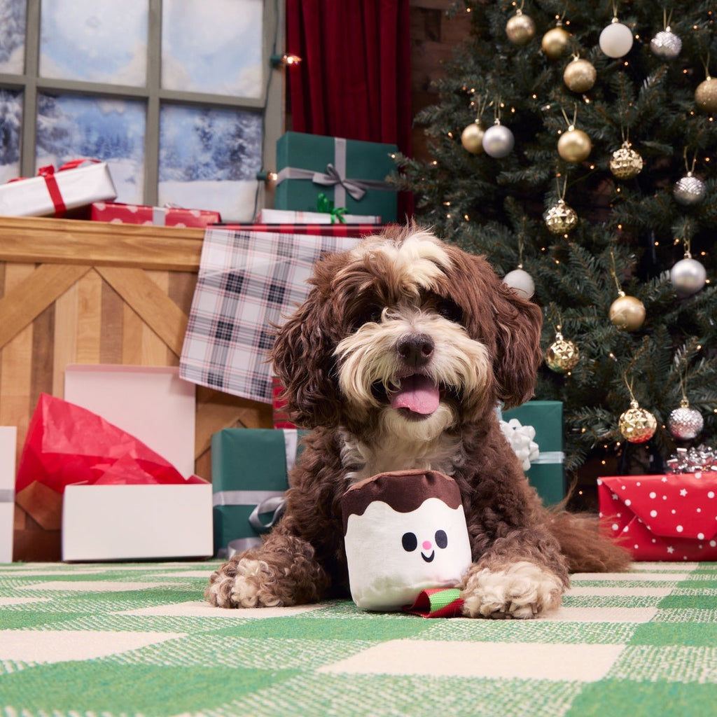 Lil Bro-coa Tug Dog Toy