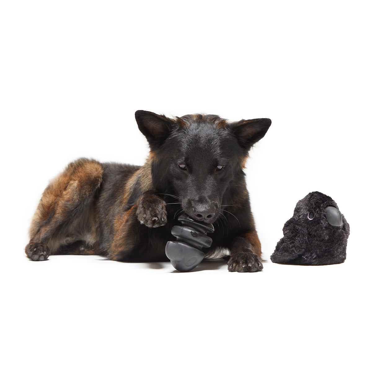Throwth The Raven Super Chewer Durable 2-in-1 + Enrichment Dog Toy