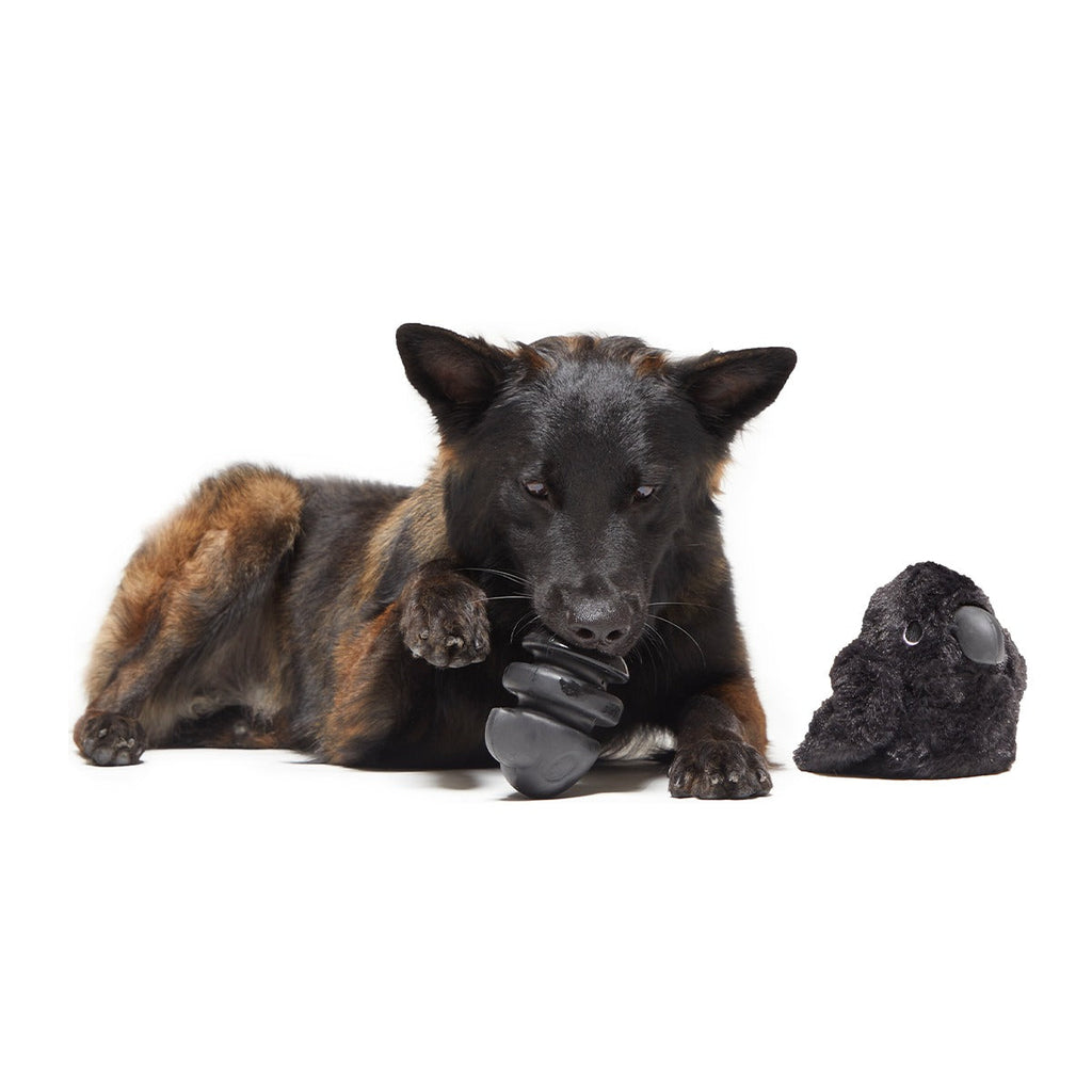 Throwth The Raven Super Chewer Durable 2-in-1 + Enrichment Dog Toy