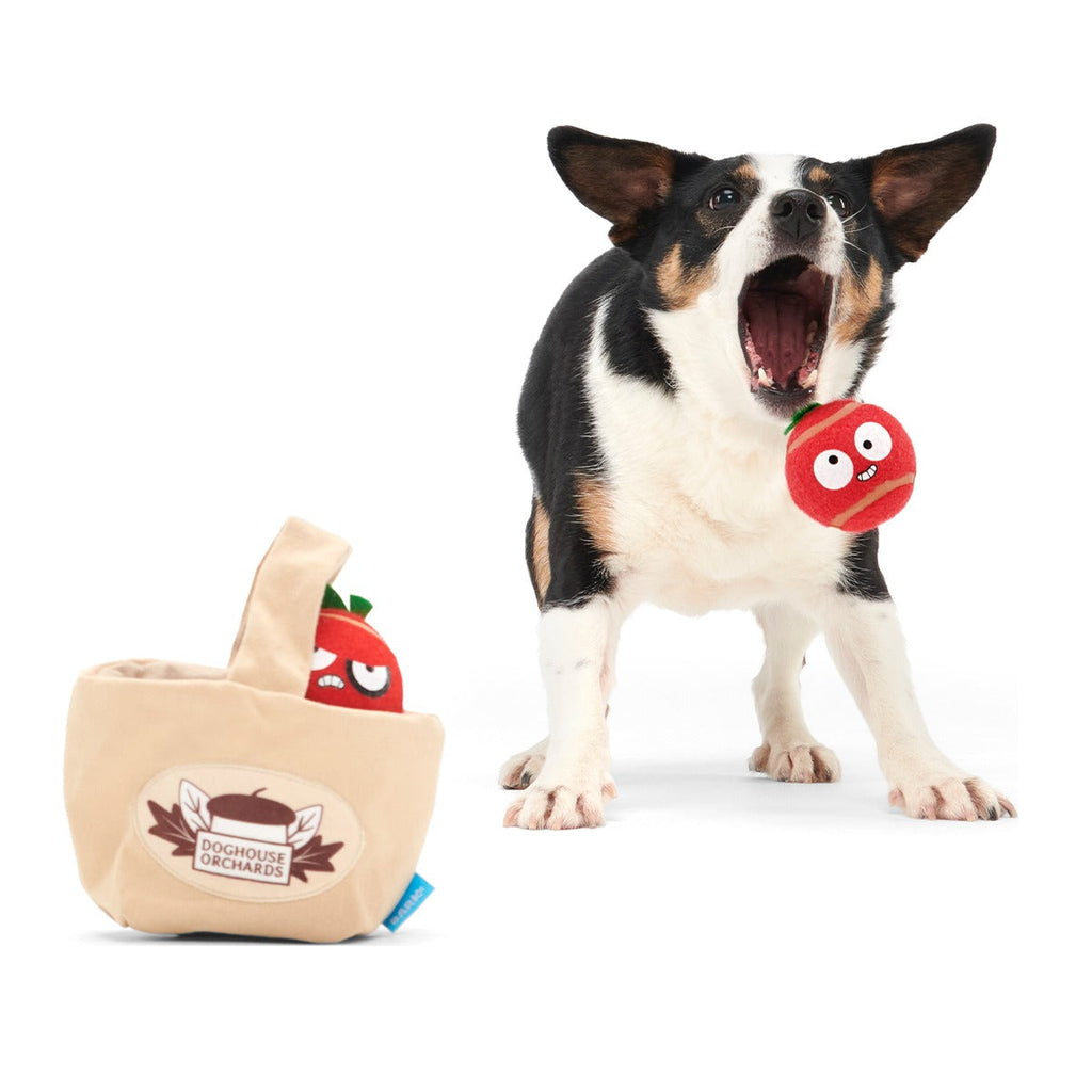 The Munch Bunch Plush Multi-Part + Enrichment + Fetch Dog Toy