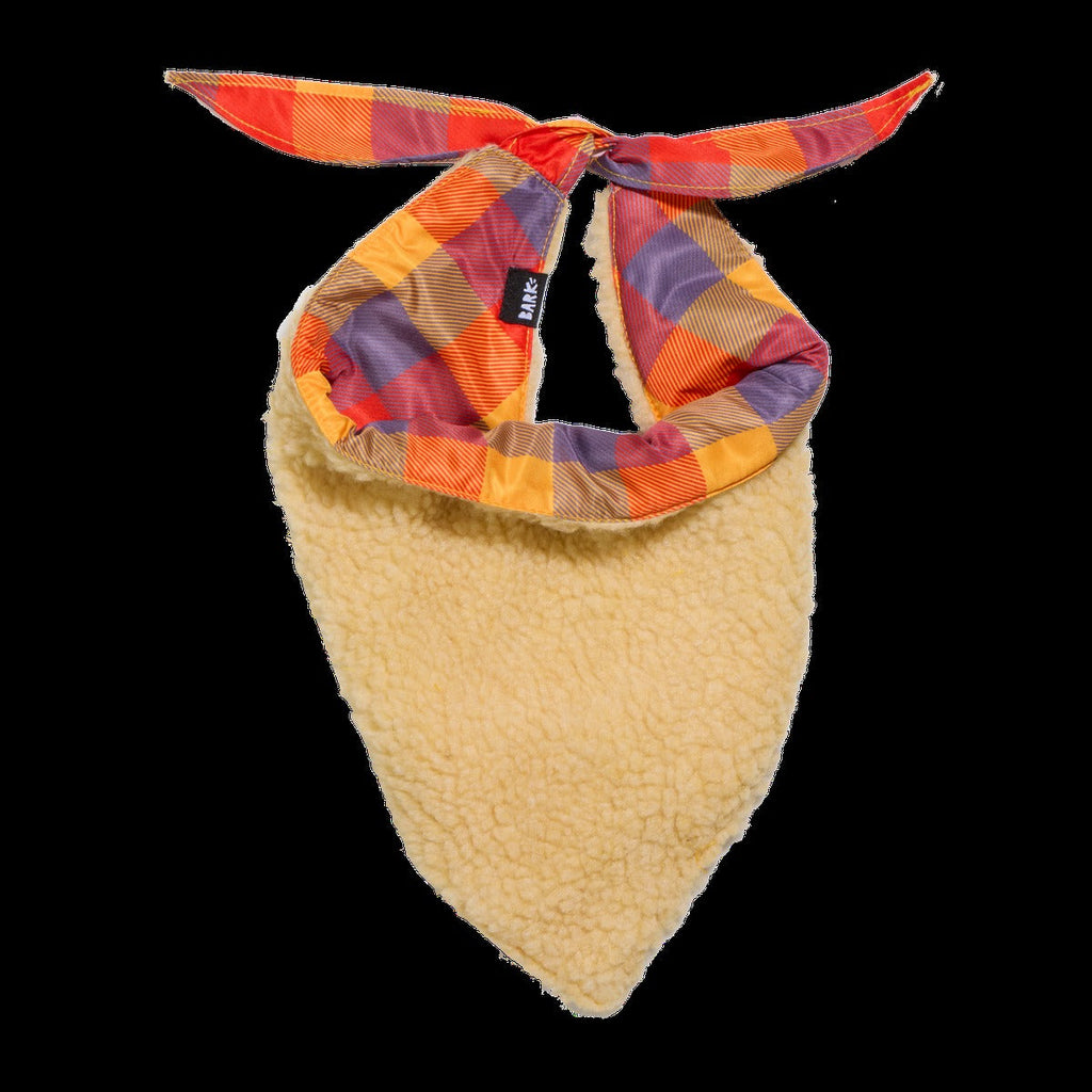 Fall Teddy Dog Bandana