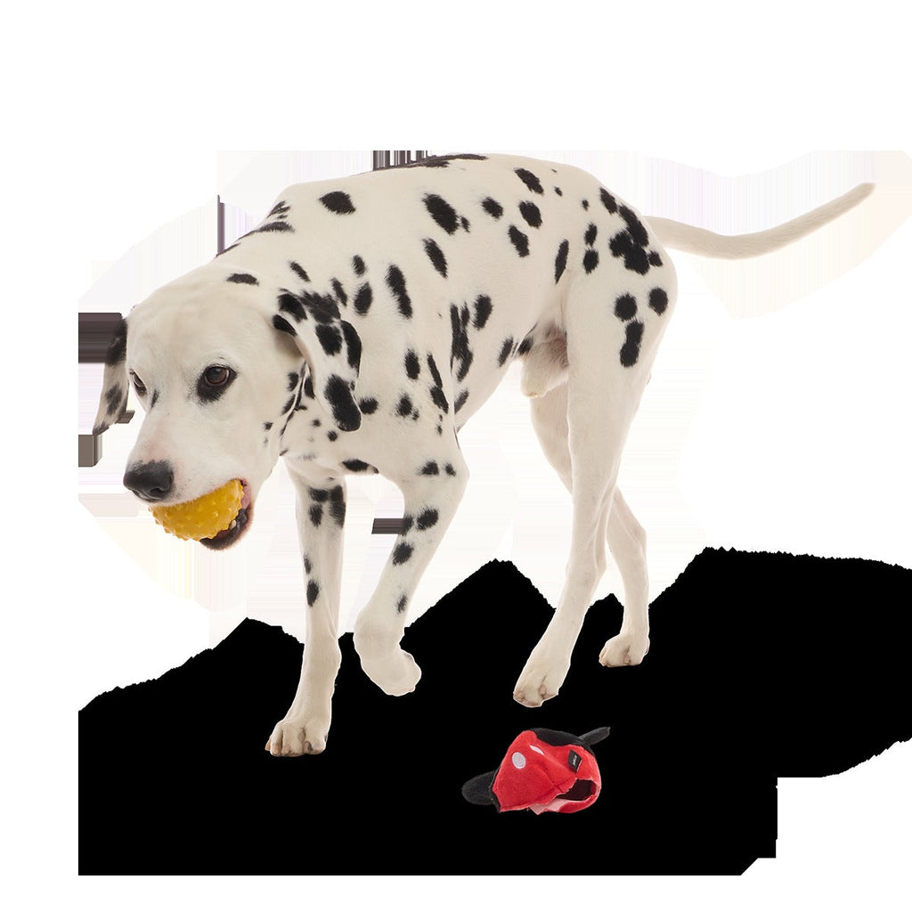 Mickey Mouse Ball Super Chewer Durable 2-in-1 + Fetch Dog Toy