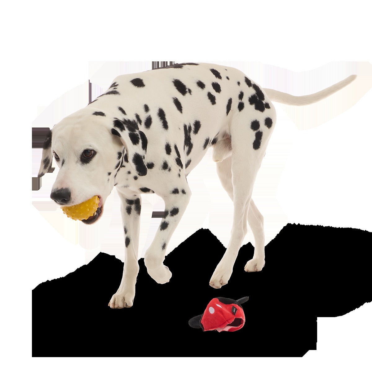 Mickey Mouse Ball Super Chewer Durable 2-in-1 + Fetch Dog Toy