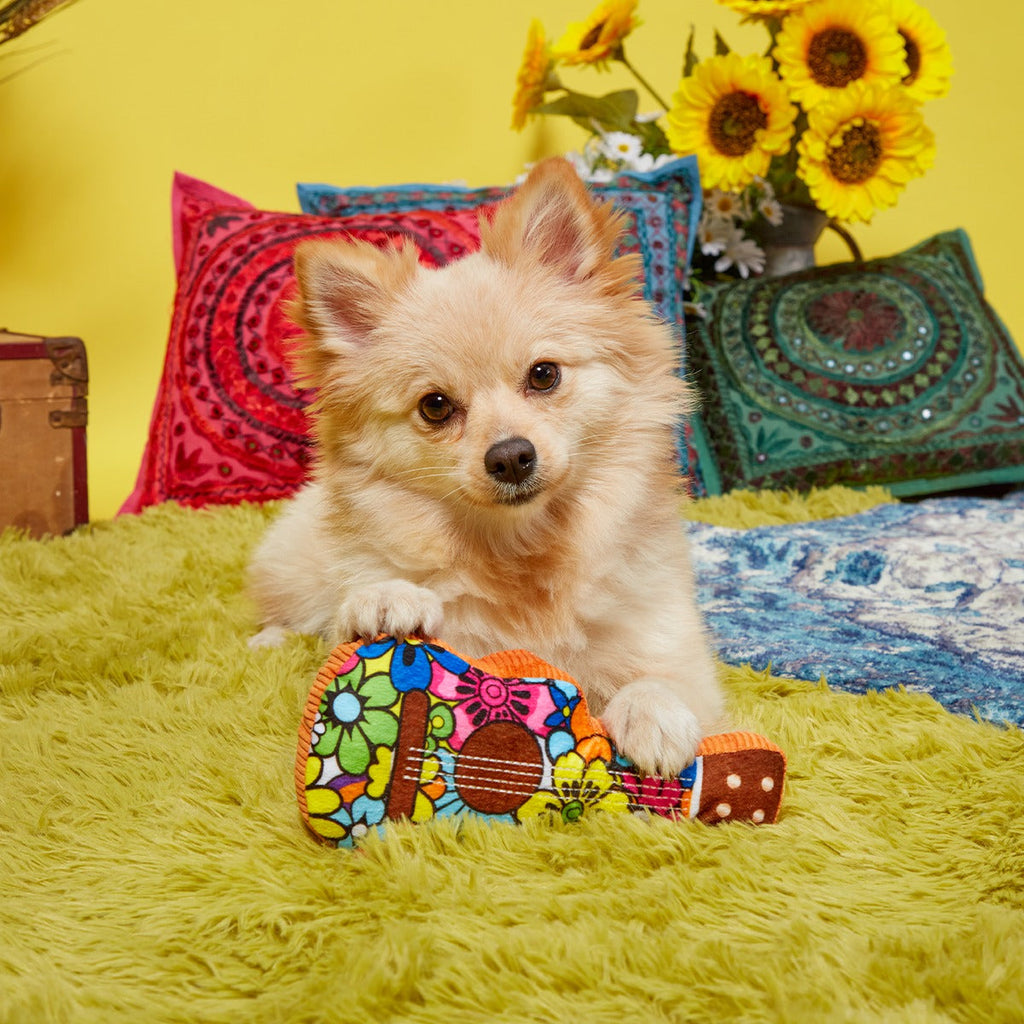 Guitar Licks Plush Tug Dog Toy