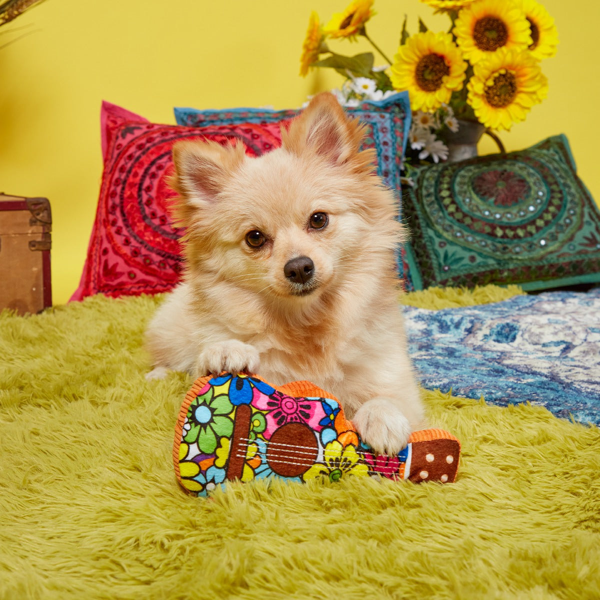 Guitar Licks Plush Tug Dog Toy