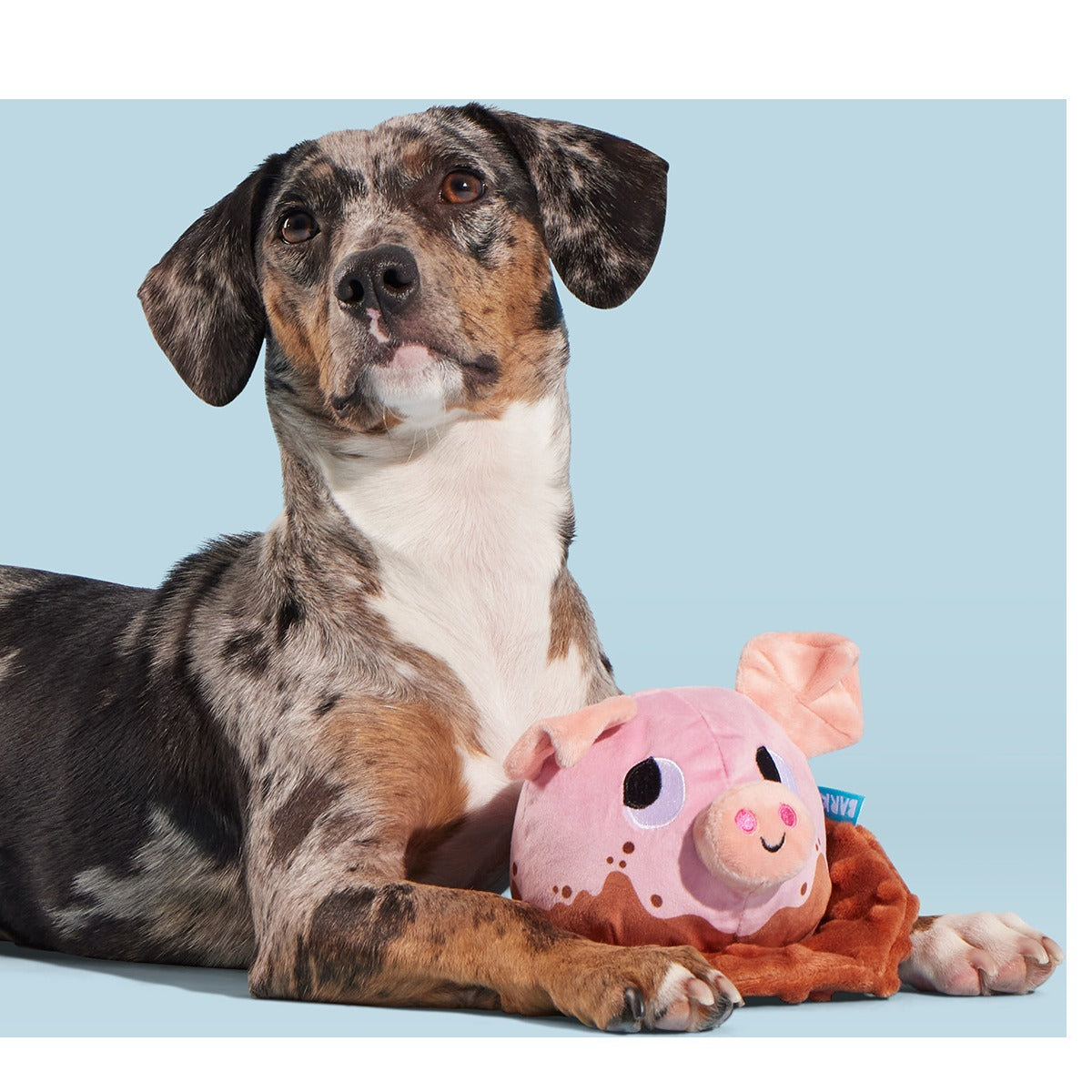 Muddy Maude Plush Fetch Dog Toy