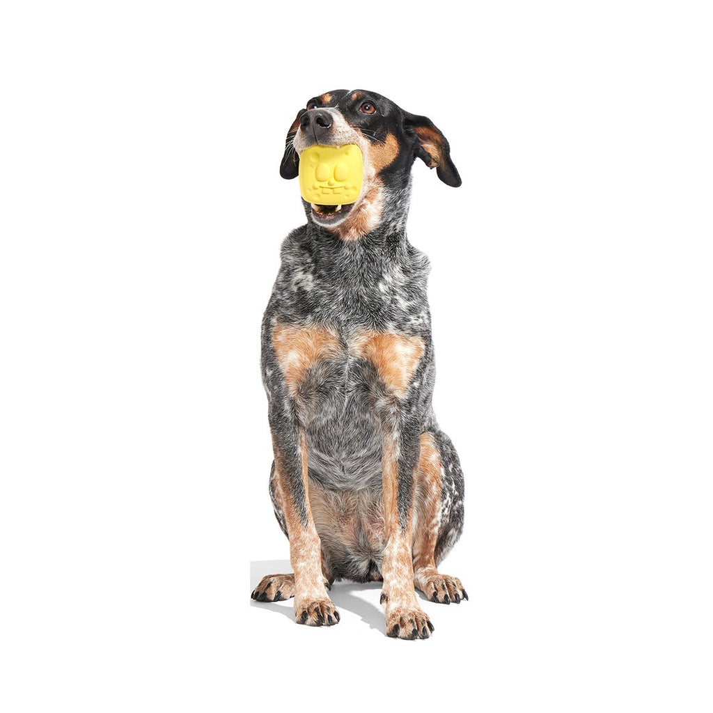 SpongeBob SqueakPants Super Chewer Durable Fetch Dog Toy